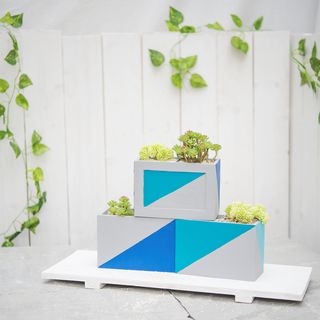 Zeitgem&auml;&szlig;er Blumenkasten im Beton-Design