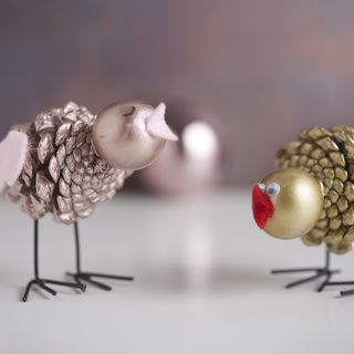 zapfen vögel