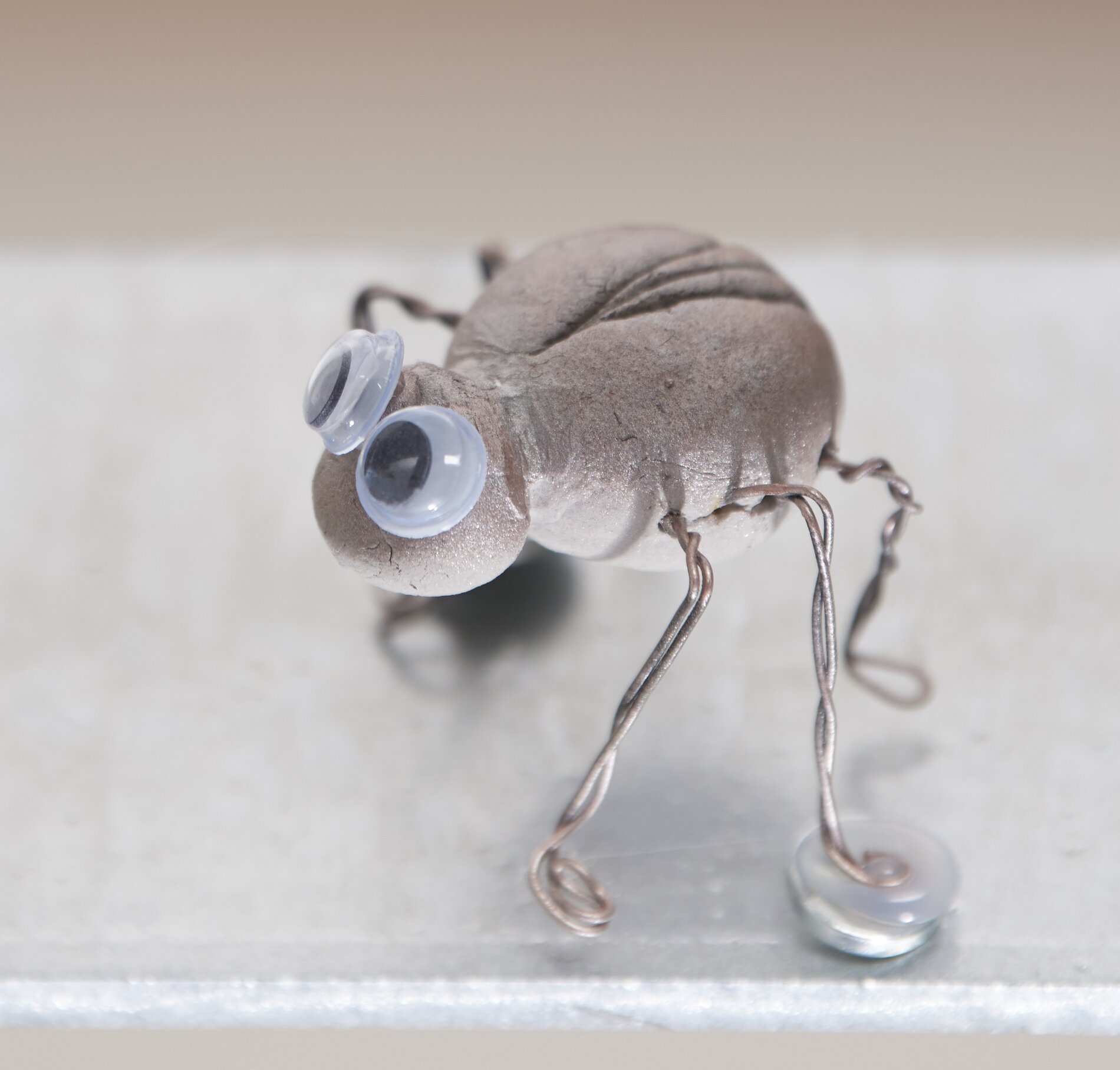 käfer modellieren