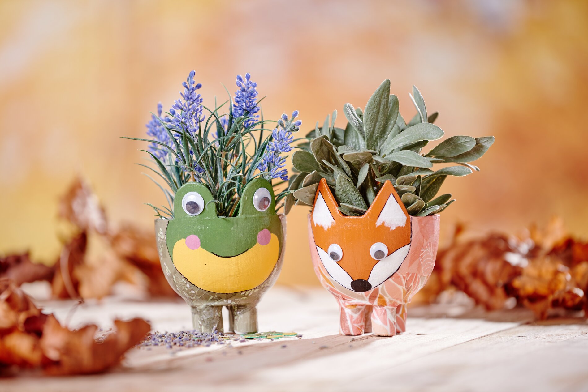 topf fuchs frosch