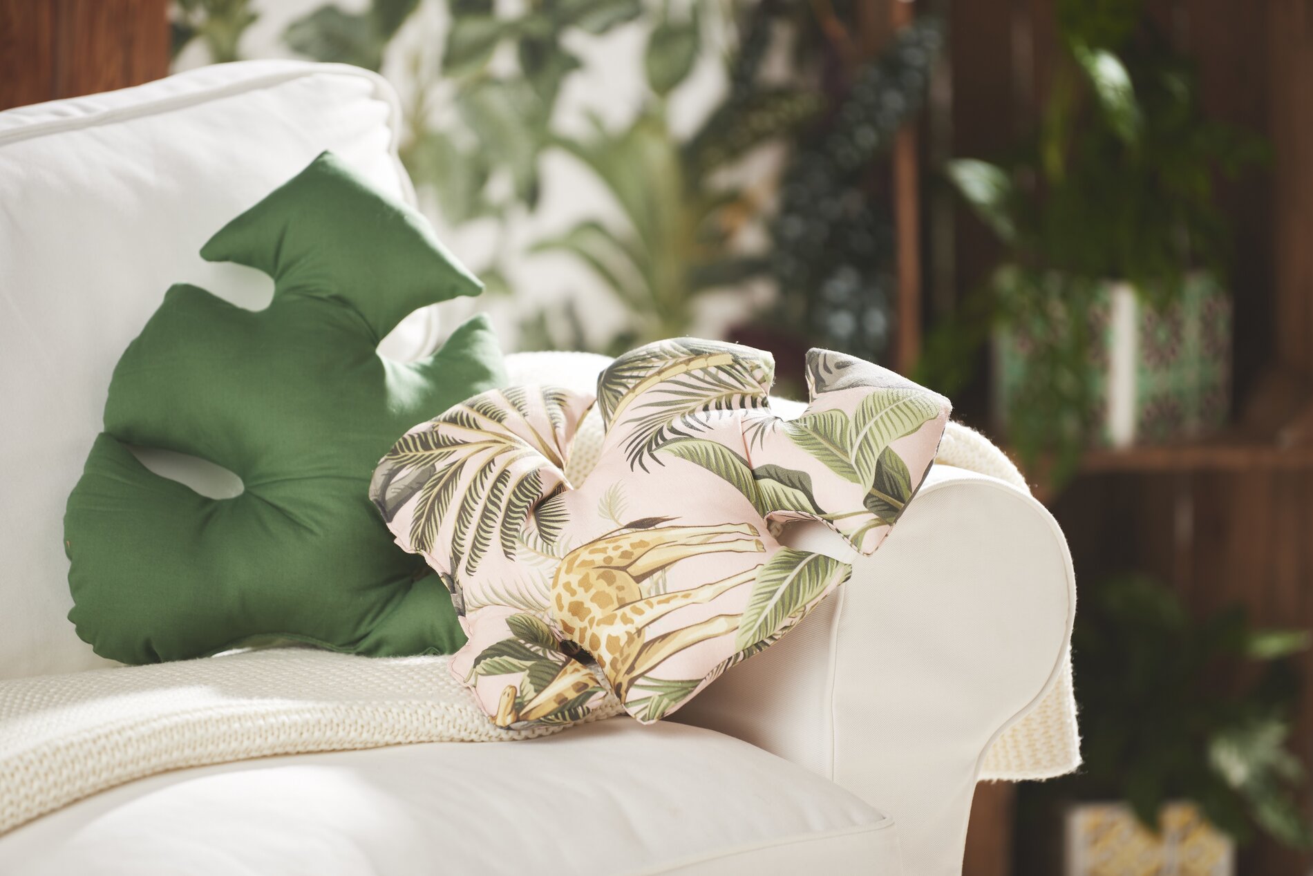 monstera blatt