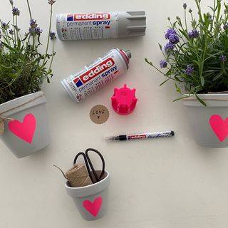 Blument&ouml;pfe mit Neon-Akzenten