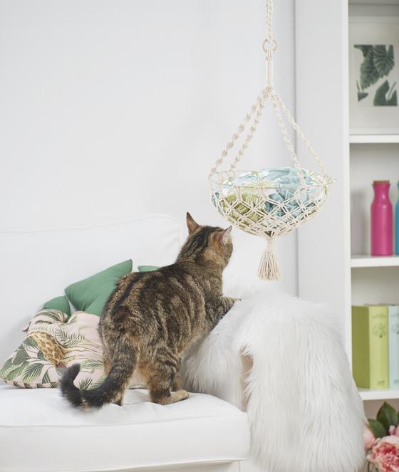 DIY Katzenbett