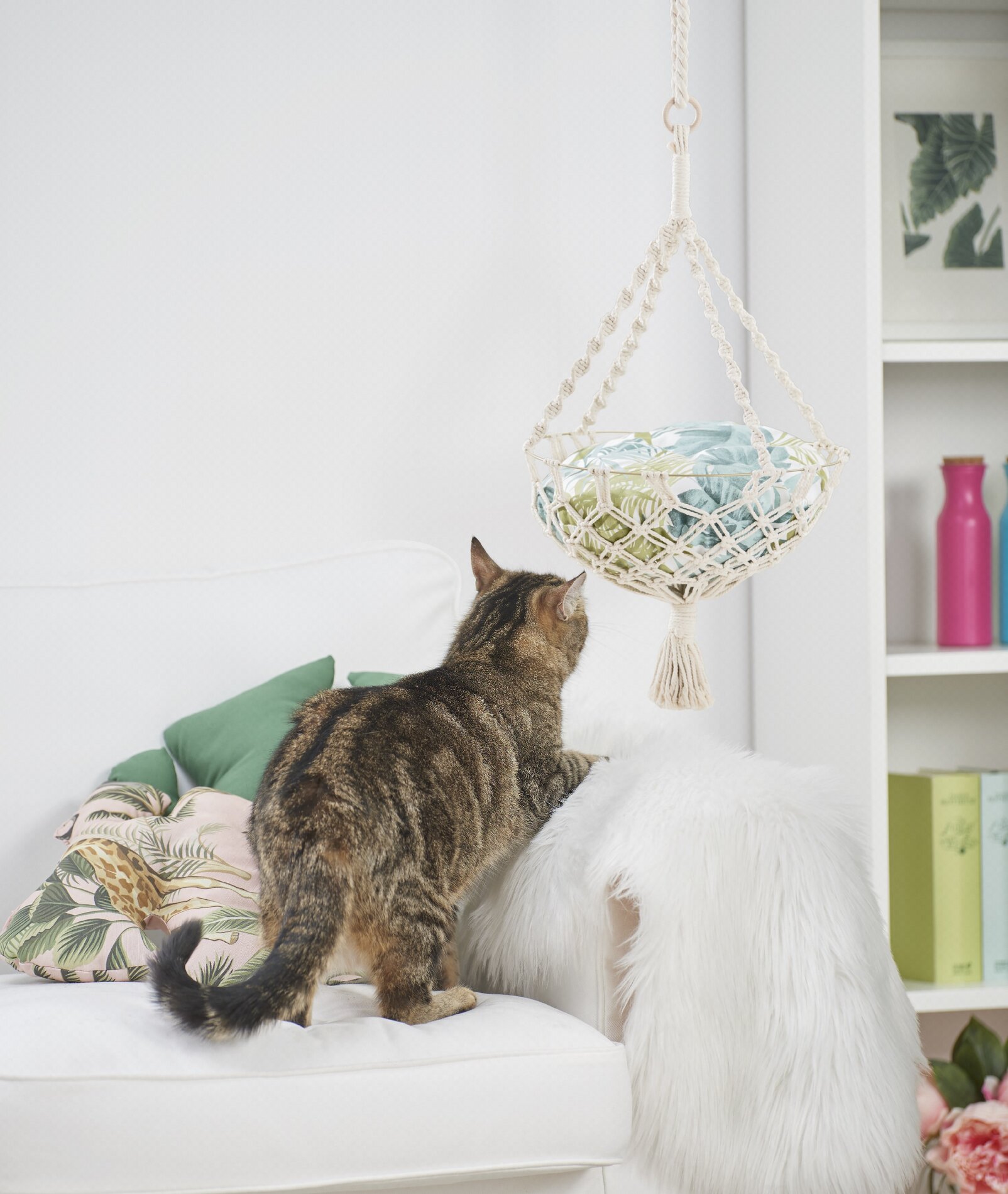 DIY Katzenbett