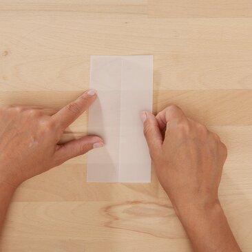 transparentstern