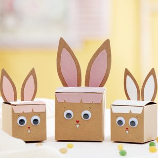 hasenboxen