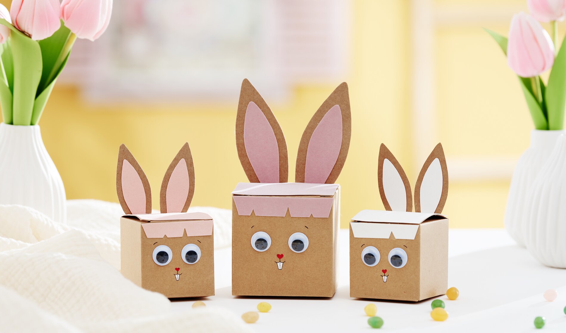hasenboxen