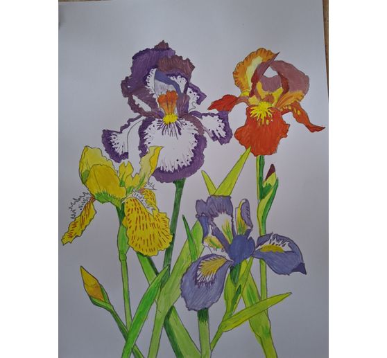 64_Natou nath_Iris d,automne