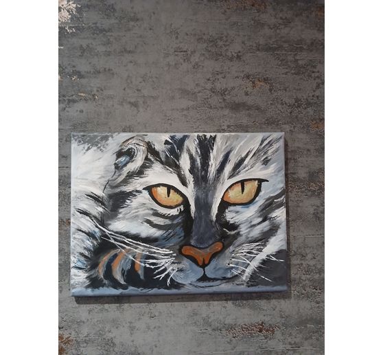 111_MR_Pflegeleichte Katze