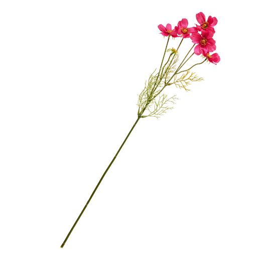 Cosmea Zweig mit 5 Bl&uuml;ten