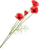 Poppy pick with 4 flowers