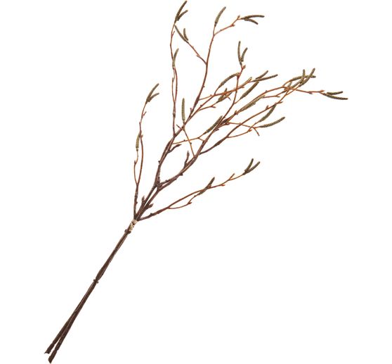 Birch twig bunch