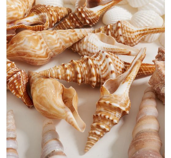 Muschelmix, natural