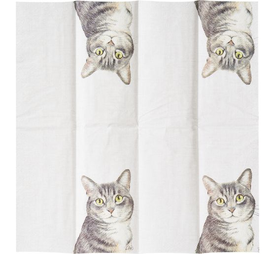 Papiertaschent&uuml;cher "Cat"