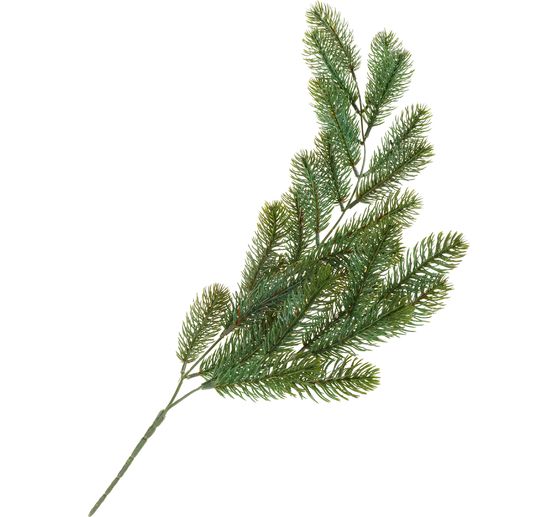 Pine branch