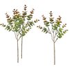 VBS Eukalyptus "Bendigo" Braun/Gr&uuml;n