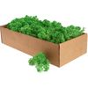 Islandmoos, 400 g Maigr&uuml;n