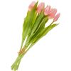 Tulpen-Bund mit 3 Bl&uuml;ten und 2 Knospen Light Rose