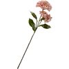 Hortensie mit zwei Bl&uuml;ten Rose