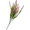 Veronica-Strauch Pink