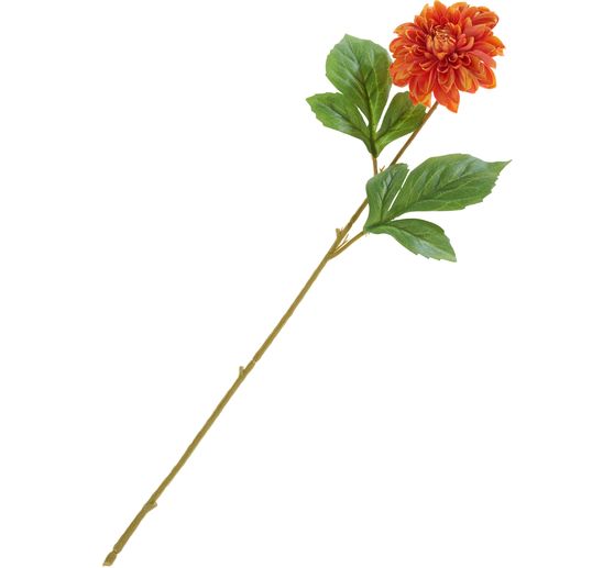 Dahlia "George Spray"