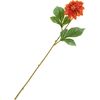 Dahlia "George Spray" Orange