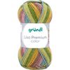 Gr&uuml;ndl Wolle "Lisa Premium color" Farbe 23