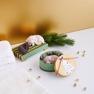 Seife in Tierform gießen