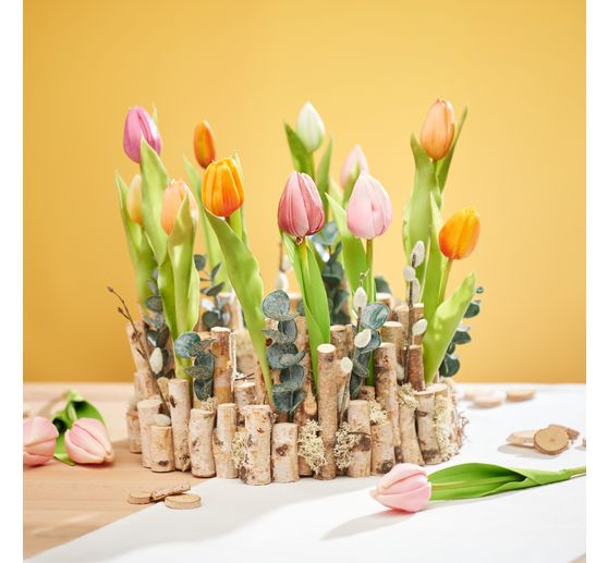 Tulpen-Bund "Sally"