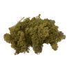 VBS Islandmoos, 100 g Gr&uuml;n
