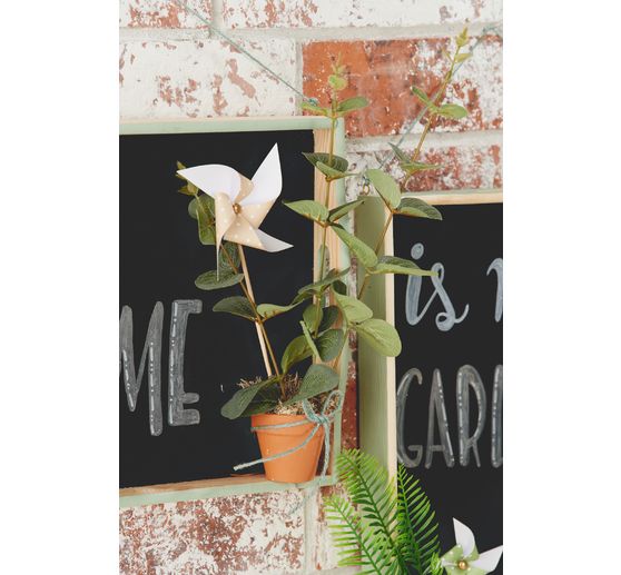 VBS Tray, set of 5