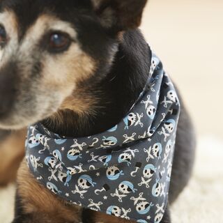 hundehalstuch