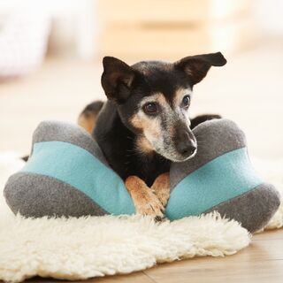 Knochenkissen f&uuml;r Ihren Hund n&auml;hen
